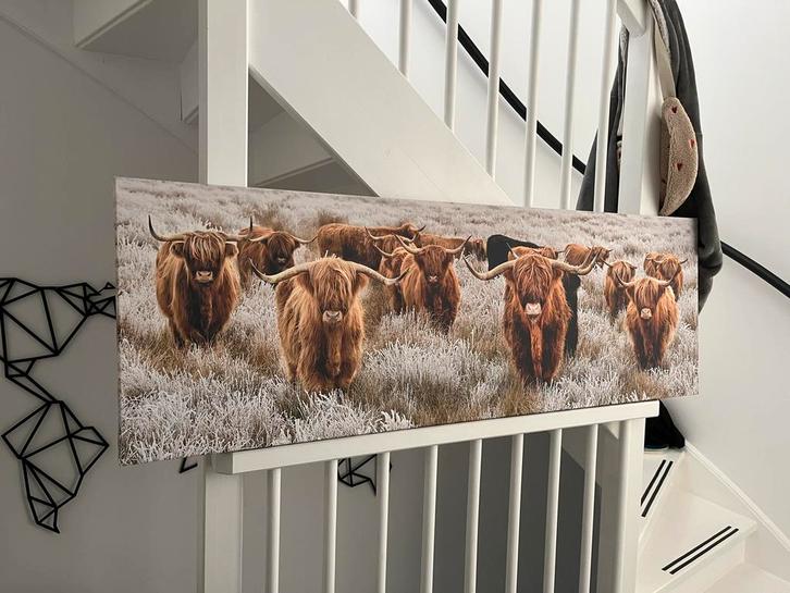 Schilderij Schotse Hooglanders, Huis en Inrichting, Woonaccessoires | Schilderijen, Tekeningen en Foto's, Zo goed als nieuw, Schilderij