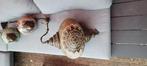 3x lamp Arabische stijl, Antiek en Kunst, Ophalen of Verzenden