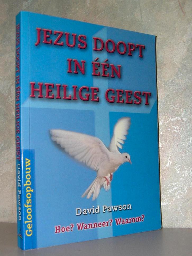 David Pawson - Jezus doopt in één Heilige Geest, Boeken, Godsdienst en Theologie, Zo goed als nieuw, Christendom | Katholiek, Christendom | Protestants
