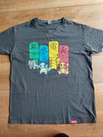 Mooi Pokemon shirt, Kinderen en Baby's, Jongen of Meisje, Ophalen of Verzenden, Zo goed als nieuw, Shirt of Longsleeve