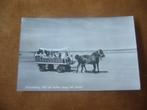 TERSCHELLING  >  MET DE HUIFKAR LANGS HET STRAND, Verzenden, 1940 tot 1960, Gelopen, Waddeneilanden