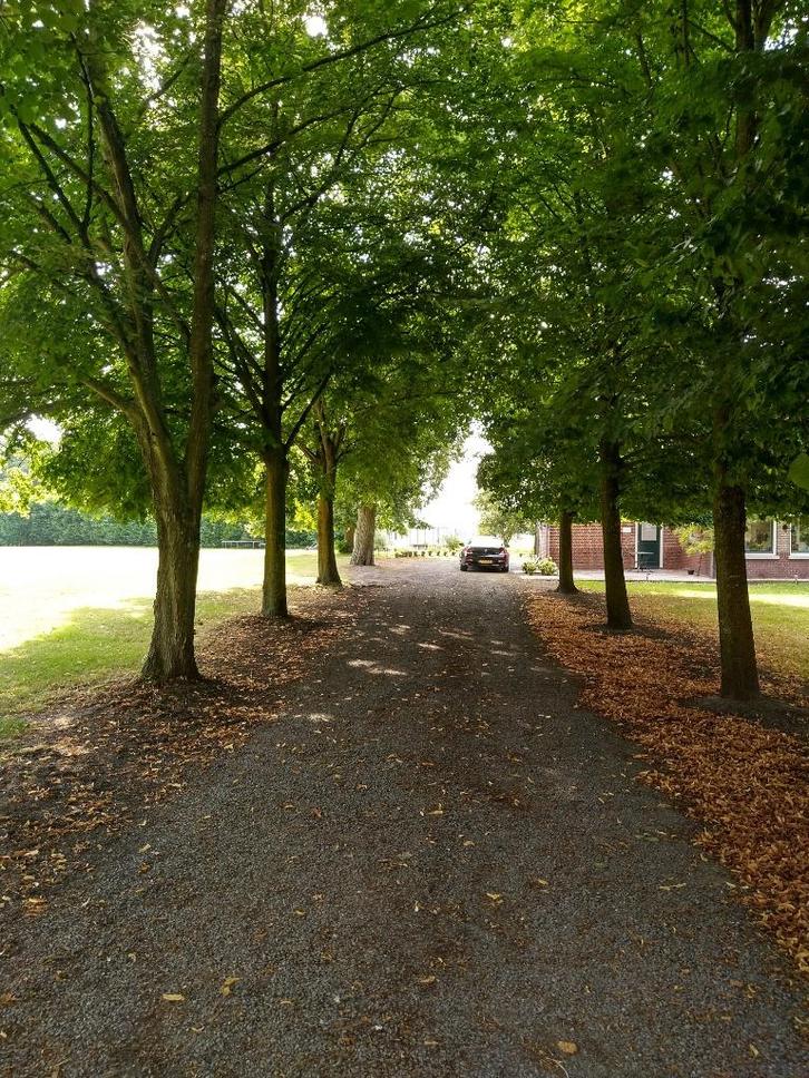 Caravan etc. stalling West Brabant, Caravans en Kamperen, Caravanstallingen