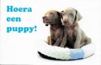 H29 Ongelopen ansichtkaart hoera een puppy, Ophalen of Verzenden, Ongelopen