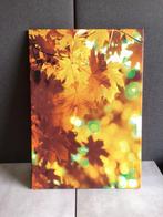 PARTYHANDEL CANVAS DOEKEN! 5,- ps, Ophalen of Verzenden