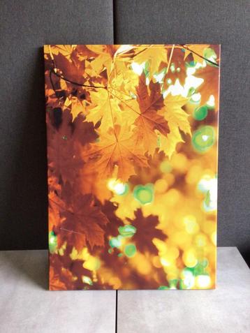 PARTYHANDEL CANVAS DOEKEN! 5,- ps beschikbaar voor biedingen