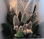 Boompjes kerstboompjes kerstdorp, Ophalen, Zo goed als nieuw