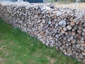 Brandhout verzaagd, deels gekloofd. Mix naald-, en loofhout  beschikbaar voor biedingen