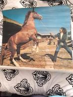 poster van een steigerend paard Lois jeans&jackets jr 70 80, Ophalen of Verzenden, Gebruikt, A1 t/m A3, Reclame