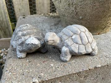 2x klein betonnen schildpadje beschikbaar voor biedingen