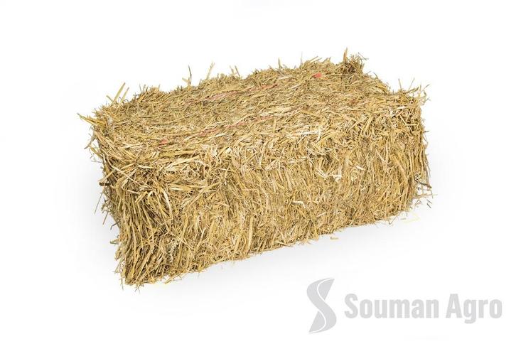 Kleine balen tarwestro, Dieren en Toebehoren, Stalling en Weidegang, Toebehoren