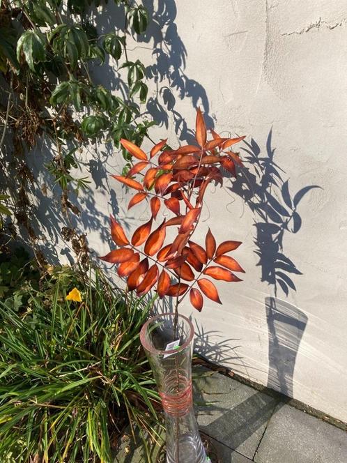ZIJDE TAK ORANJEBRUIN 88 CM PEPPERBERRY NIEUW, Huis en Inrichting, Woonaccessoires | Kunstplanten en Kunstbloemen, Nieuw, Binnen