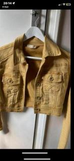 Spijkerjasje Toxik3 Jeans M Kort Model Stretch, Maat 38/40 (M), Geel, Toxik3 Jeans, Ophalen of Verzenden