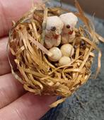 Leuk poppenhuis vogelnest met eitjes, Ophalen of Verzenden, Poppenhuis