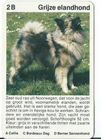 kwartetkaart Grijze Elandhond, Ophalen of Verzenden, Gebruikt, Hond of Kat, Overige typen