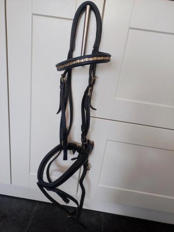 Hoofdstel paard  beschikbaar voor biedingen