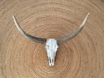 Schedel longhorn, buffel, gewei, hoorn, muurdecoratie 70cm, Zo goed als nieuw, Ophalen
