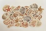 Schelpen strand stickers, Verzenden, Nieuw, Meerdere stickers