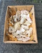 Originele Zeeuwse oestermand 44½x32x13 cm, Huis en Inrichting, Woonaccessoires | Schalen en Manden, Gebruikt, Mand, Ophalen of Verzenden