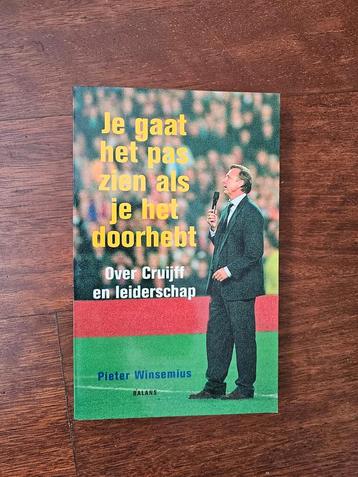 Je gaat het pas zien als je het doorhebt - Pieter Winsemiu beschikbaar voor biedingen