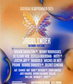 Dagvlinder Festival 1x ticket. €50, Tickets en Kaartjes, Evenementen en Festivals, Eén persoon