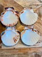 Sint Jacob schelpen - 35 stuks - €1 p/st amuse kerst diner, Ophalen of Verzenden, Zo goed als nieuw