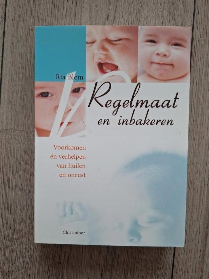 R. Blom - Regelmaat en inbakeren, Boeken, Kinderboeken | Baby's en Peuters, Zo goed als nieuw, 3 tot 4 jaar, Ophalen of Verzenden