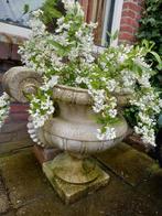 Grote tuinvaas/Jardinieren/beton, Ophalen