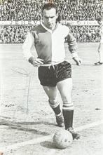 Spelerskaart Rinus Bennaars - Feyenoord Rotterdam, Ophalen of Verzenden, Zo goed als nieuw, Feyenoord, Spelerskaart