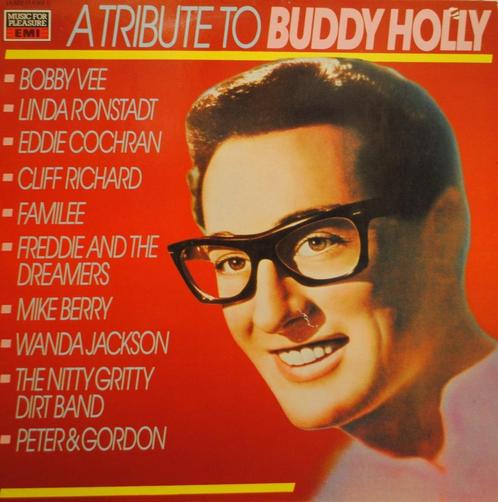 VARIOUS - TRIBUTE TO BUDDY HOLLY - LP, Cd's en Dvd's, Vinyl | Pop, Gebruikt, 1960 tot 1980, Verzenden