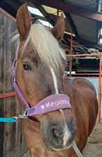 Verzorgster gezocht, Dieren en Toebehoren, Ophalen, Nieuw