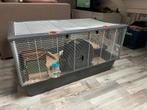 Grote hamsterkooi met accessoires, Dieren en Toebehoren, Knaagdieren en Konijnen | Hokken en Kooien, Kooi, Zo goed als nieuw, Hamster