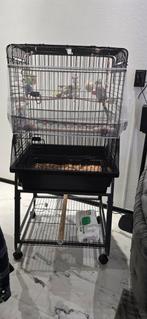 Vogelkooi met standaard, Dieren en Toebehoren, Vogels | Hokken en Kooien, Ophalen, Metaal, Vogelkooi