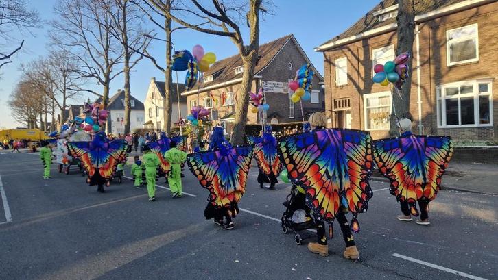 Carnaval loopgroep Vlinders en rupsen, Kleding | Dames, Carnavalskleding en Feestkleding, Gedragen, Kleding, Carnaval, Maat 38/40 (M)
