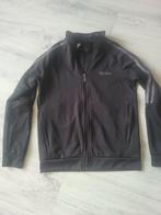 Adidas 140/146, Ophalen of Verzenden, Zo goed als nieuw, Jongen of Meisje