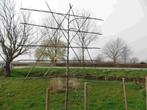 Leilinde geleiding bamboe voor leilindebomen, Tuin en Terras, Planten | Bomen, Volle zon, Bloeit niet, Leiboom, Ophalen