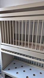 Stapel Ledikant voor Kinderopvang, Kinderen en Baby's, Babywiegjes en Ledikanten, Ophalen of Verzenden, Gebruikt, Ledikant