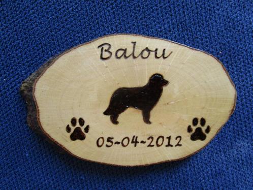 huisdier aandenken Pyrografie Creamar gepersonaliseerd, Dieren en Toebehoren, Overige Dieren-accessoires, Nieuw, Ophalen of Verzenden
