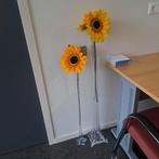 2 hoge smalle vazen, Huis en Inrichting, Woonaccessoires | Vazen, Ophalen, Overige kleuren, 75 cm of meer, Glas