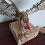 AREND als bouwpakket., Hobby en Vrije tijd, Modelbouw | Overige, Ophalen, Nieuw, Groter dan 1:32