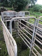 Nedap dubbele krachtvoerautomaat, Dieren en Toebehoren