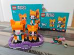 Pets Ginger Tabby Kitten lego set Nr 40480, Ophalen of Verzenden, Gebruikt, Complete set, Lego