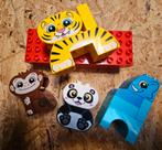 Duplo 10884 - Mijn eerste balancerende dieren., Ophalen of Verzenden, Gebruikt, Complete set, Duplo