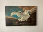De Bedreigde zwaan 74,5 x 114,5 cm € 14,00 of Kringloop, Ophalen