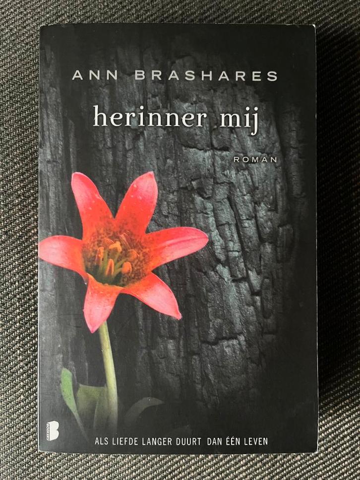 Ann Brashares - Herinner mij., Boeken, Romans, Zo goed als nieuw, Ophalen of Verzenden
