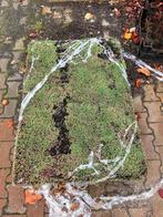 Sedum mixmat 2.88m2, Ophalen, Bodembedekkers, Vaste plant, Halfschaduw