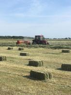 Hooi oogst 2025, Dieren en Toebehoren, Ophalen, Vee