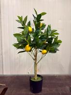 Kunst Citroenboom - nieuw - leuk voor thuis of op kantoor, Huis en Inrichting, Ophalen, Gebruikt, Binnen