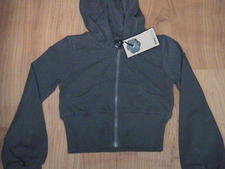 NONO, NO NO mooi NIEUW grijs vestje / vest maat 122 / 128, Kinderen en Baby's, Kinderkleding | Maat 128, Nieuw, Meisje, Trui of Vest