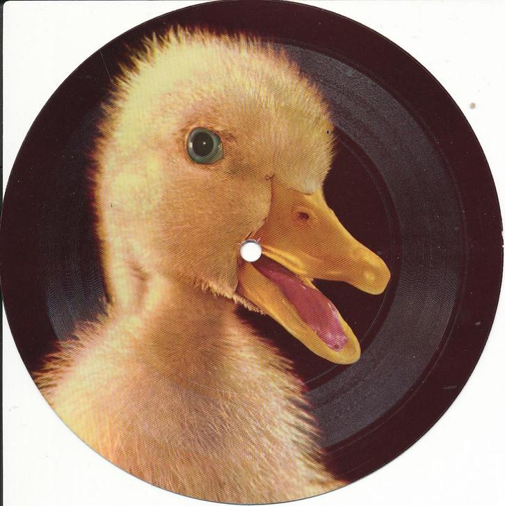 Grammofoonplaat Verzamelaars Item, Cd's en Dvd's, Vinyl Singles, Zo goed als nieuw, Single, Kinderen en Jeugd, 10 inch, Ophalen