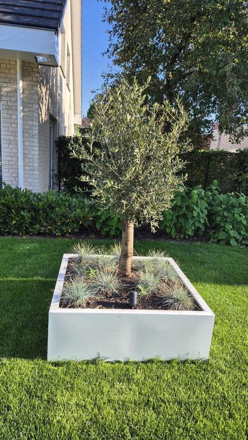 Plantenbakken, Tuin en Terras, Bloembakken en Plantenbakken, Nieuw, Metaal, Tuin, Minder dan 60 cm, Vierkant, Ophalen of Verzenden